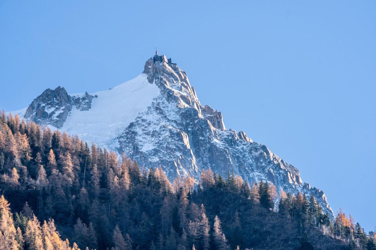 Chamonix Sud Studio With Mont Blanc Views Exterior foto
