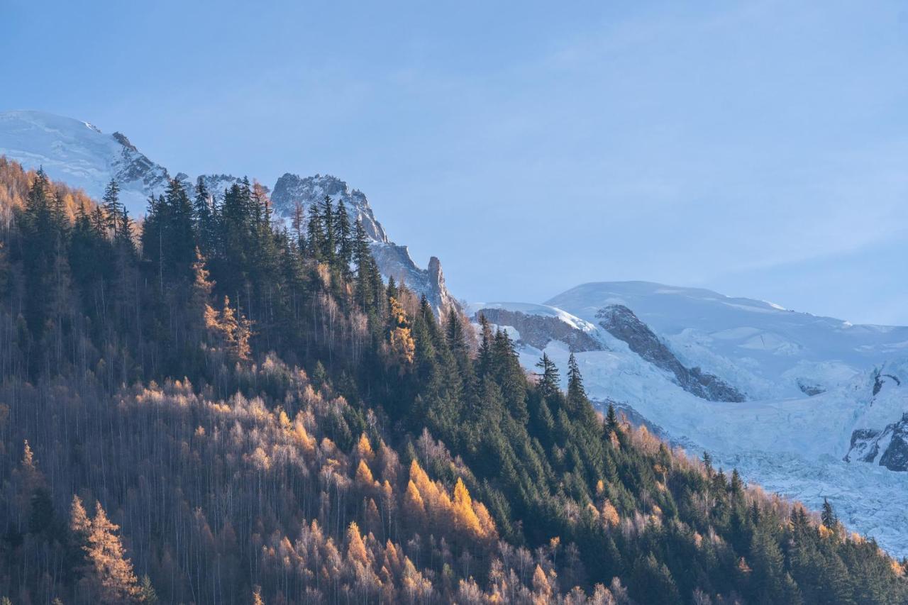 Chamonix Sud Studio With Mont Blanc Views Exterior foto